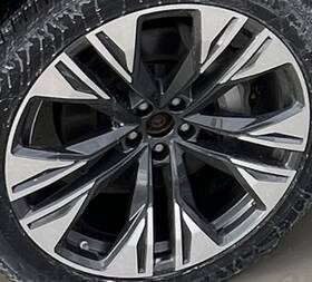 Audi 560-12156 2024 Q8 Oe Wheel 22x10 5 Double Spoke