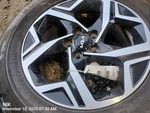 Wheel/rim Only Oem 23-25 Kia Sportage Used. Price: $155.00.