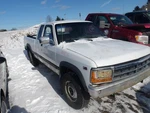 Wheel 15X6 Fits 91-02 Dakota 2048544 Used. Price: $108.74.