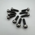 Bbs RS2 Titanium Bolts Hardware Original Used (set Of 10) RS700 Rs-gt M7X32. Price: $30.00.