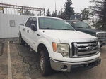 2009-2014 Ford F150 Oem Wheel/rim 17X7-1/2 Aluminum Spoke Id 9L341007EA Used. Price: $149.62.