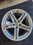 Wheel 18X8-1/2 Alloy Split Spoke Star Design Fits 20-21 Audi A5 , 8W0601025 Used. Price: $249.25.