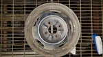 Wheel 14X5-1/2 Steel Fits 89-98 Galant 176029 Used. Price: $27.50.