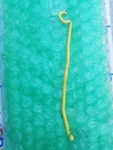 Chrysler Pt Cruiser Rod Hood Prop Replacement Mopar Oem 01-10 Used. Price: $16.95.